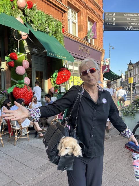Navratilova’s indignation at being turned away from a Wimbledon restaurant she tried to bring her dog Lulu to has touched a nerve (Photo: Martina Navratilova/X)