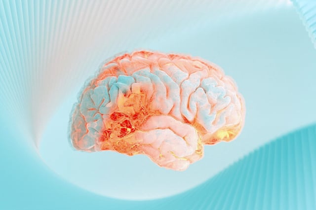 A newly discovered pathway in the brain transforms physical pain into emotional suffering