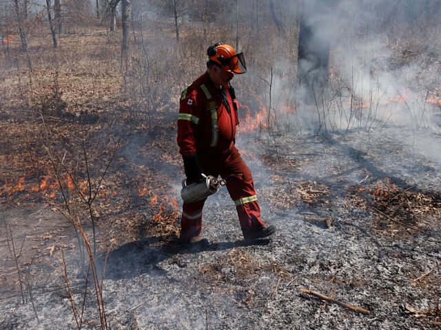 TORONTO, ON - April 17 - A member of the Lands & Forests Consulting burn team walks through one of the areas undergoing a prescribed burn aimed at protecting and restoring the Black Oak Savannah ecosystem at High Park in Toronto. Lance McMillan/Toronto Star April-17-2025 (Lance McMillan/Toronto Star via Getty Images)