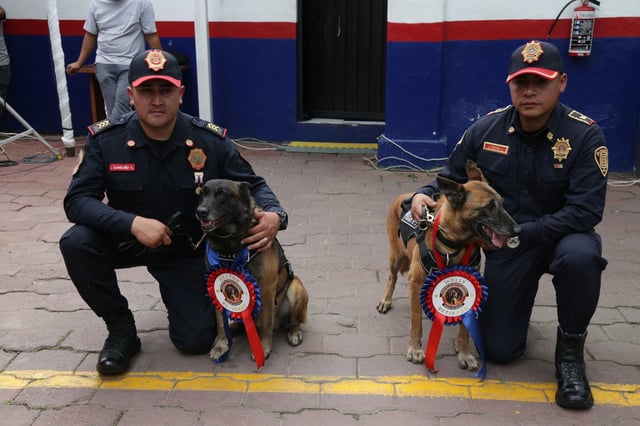 A lo largo de los años, la Unidad se ha fortalecido hasta convertirse en una pieza estratégica de la Policía Bancaria e Industrial.