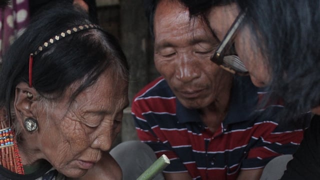 Japanese Encephalitis (JE) cases surge in Nagaland