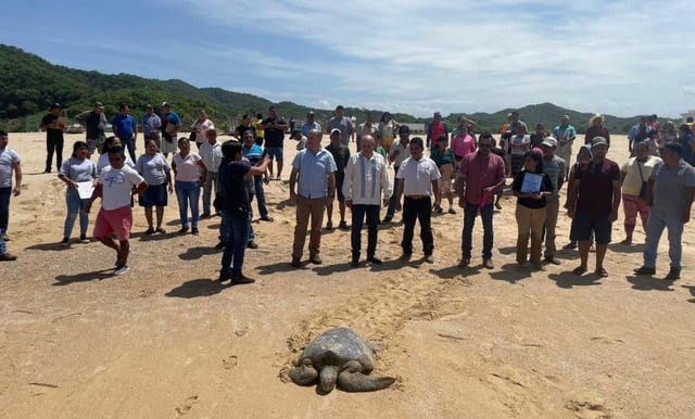 Capacitan campamentos de Aquila y LC para protección de la tortuga