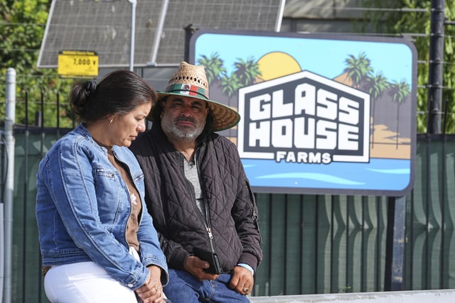 Juan Duran, and his wife, no name given, wait outside of Glass House Farms, where a relative was injured during a previous day immigration raid, on Friday, July 11, 2025, in Camarillo, Calif.