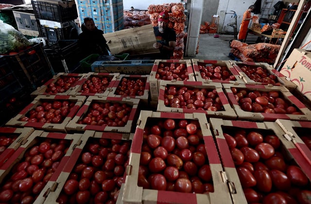 Boxes of tomatoes are seen at the Central de Abastos market in Guadalajara, Jalisco state, Mexico on January 31, 2025.
