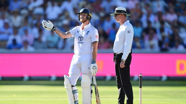 Ladybirds stopped play in the Test between England and India at Lord’s last Thursday