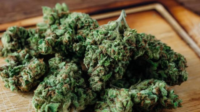 ganja, istock