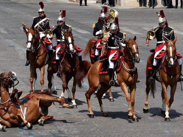 A horse of the French Republican Guard falls during the annual Bastille Day military ceremony on the Champs-Elysees avenue in Paris, France, July 14, 2025. REUTERS/Gonzalo Fuentes     TPX IMAGES OF THE DAY