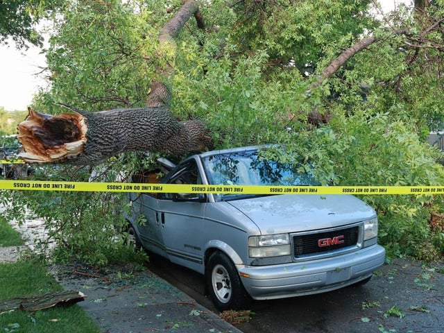 A powerful thunderstorm brought down multiple trees across the north part of Calgary like this one that crushed a van and blocked 23 Avenue N.W. in Mt. Pleasant on Sunday, July 13, 2025. 
