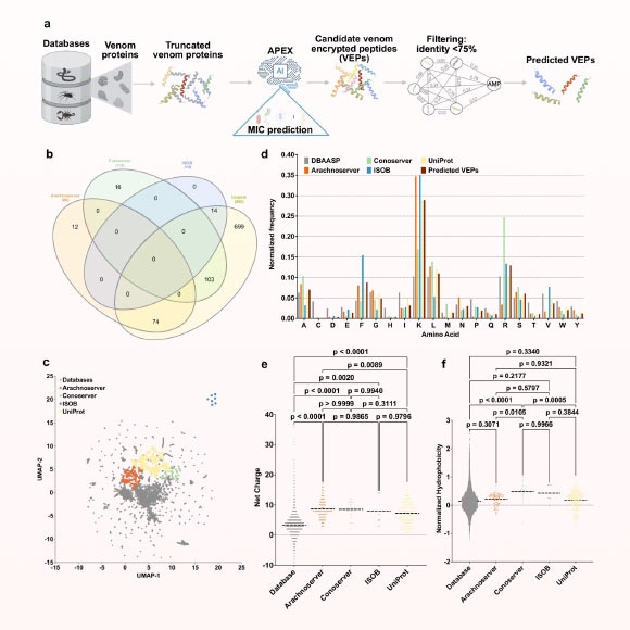 Guan et al. demonstrate that venoms are a rich source of previously hidden antimicrobial scaffolds, and that integrating large-scale computational mining with experimental validation can accelerate the discovery of urgently needed antibiotics. Image credit: Guan et al., doi: 10.1038/s41467-025-60051-6.