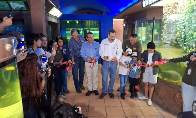 Inauguran pecera especial para raya del Amazonas en Zoo de Morelia