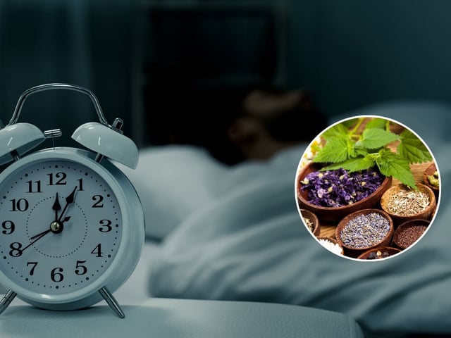 Remedios naturales que combaten el insomnio. | Crédito: Canva