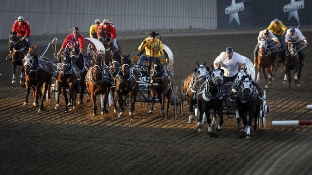 Drivers cross the finish line during chuckwagon racing action at the Calgary Stampede in Calgary, Alta., Saturday, July 8, 2023.