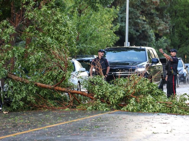 Police helped direct traffic around this tree that came down on 12th Avenue N.W. in Renfrew after a powerful thunderstorm moved through the north part of Calgary on Sunday, July 13, 2025. 