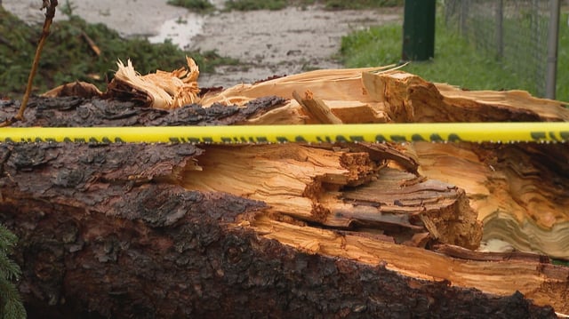 A powerful, short-lived storm brought down trees and power lines and clogged storm drains in Calgary on Sunday night.