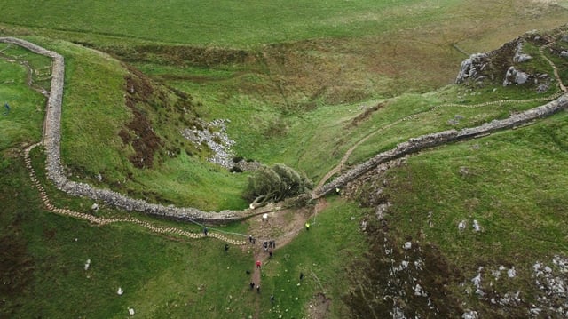 Vue aérienne du Sycamore Gap Tree abattu, le long du 
mur d'Hadrien près de Hexham dans le nord de l'Angleterre, le 28 septembre 2023