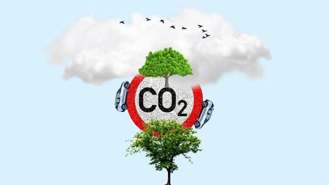 Clean air zones in London, Birmingham, Glasgow and elsewhere are having an impact on air pollution