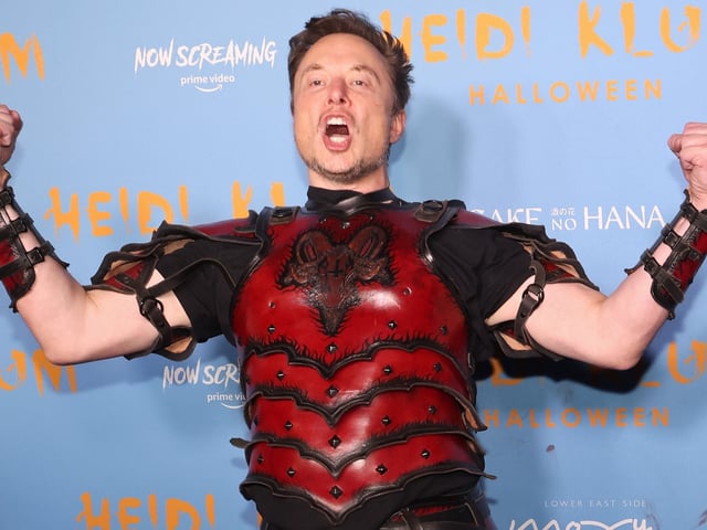 Elon Musk strikes a pose in a silly outfit.