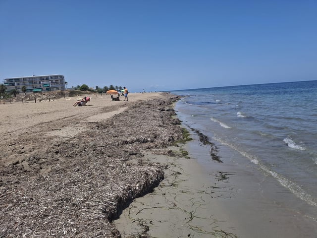Insólito: playas vacías en Dénia (imágenes)