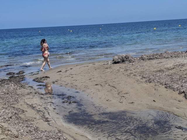 Insólito: playas vacías en Dénia (imágenes)