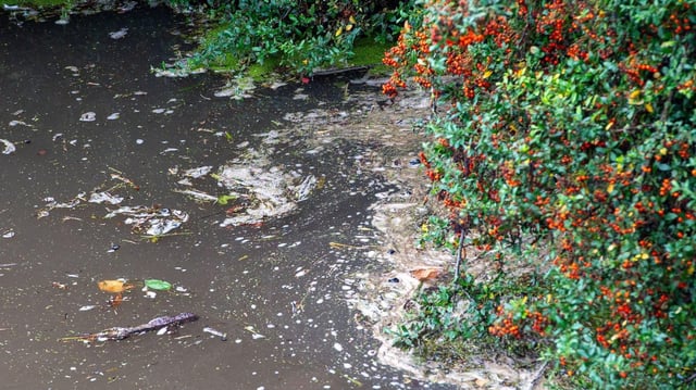 Thames Water admitted that its sewage pollution incidents increased last year by a third, to 470