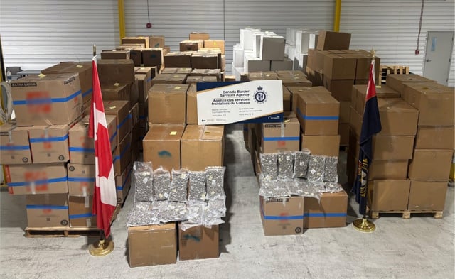 Some of nearly 400 boxes containing over 6,700 kg of suspected cannabis seized by Canada Border Services Agency officers are seen in this handout photo, at the Saint John container examination facility in Saint John, N.B., in May 2025. THE CANADIAN PRESS/Handout - CBSA (Mandatory Credit)