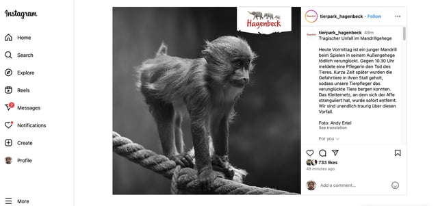 Mit diesem Instagram-Post gab der Tierpark Hagenbeck den Tod des jungen Affen bekannt.