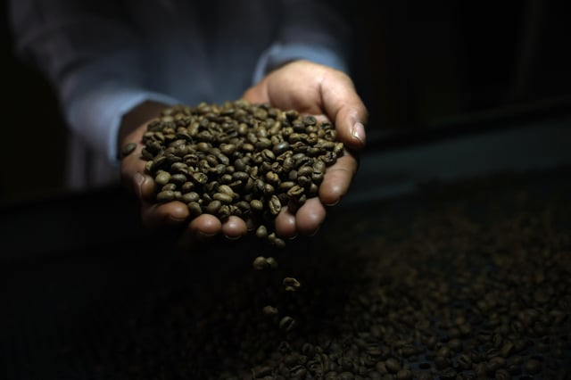 A worker checks roasted coffee beans at a farm near Brasilia, Brazil July 15, 2025. REUTERS/Adriano Machado/ File Photo