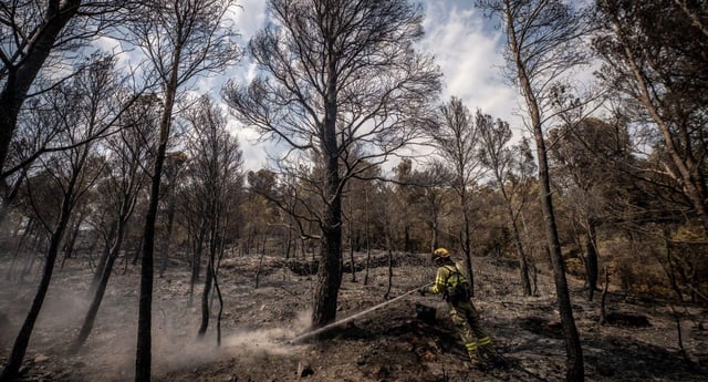 Un bombero en la zona afectada de Paüls  | JORDI OTIX