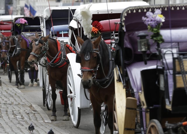 FILE - Horses and carriages wait for customers on Oct. 23, 2013, near Central Park in New York. (AP Photo/Seth Wenig, File)