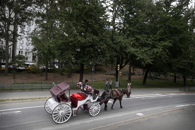 FILE - A horse-drawn carriage heads along a road on Oct. 23, 2013, in New York's Central Park. (AP Photo/Seth Wenig, File)