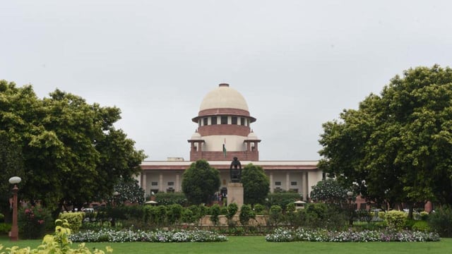 Feed them in your house: SC on petition over street dogs