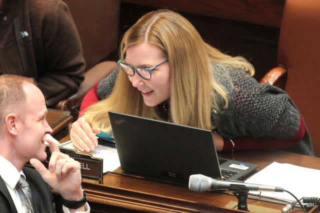 FILE - Democratic State Sen. Nicole Mitchell, right, of Woodbury, speaks with Sen. Robert D. Farnsworth, a Republican from Hibbing, on the floor of the Minnesota Senate on April 2, 2024, at the State Capitol in St. Paul, Minn. (AP Photo/Steve Karnowski, File)
