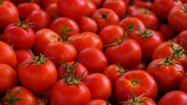 After eggs, tomatoes are getting costlier in the US (Unsplash - representational image)
