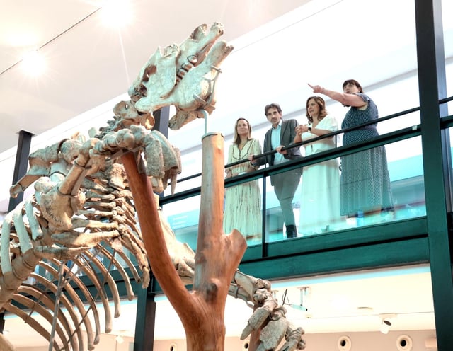 El Museo de Ciencias Naturales de Viveros se reinventa para captar nuevos visitantes