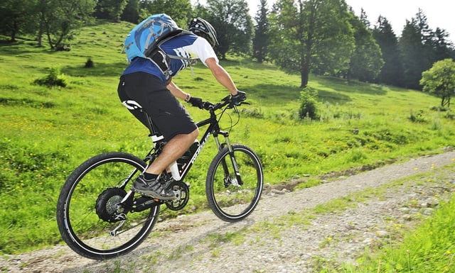 Es gibt viele verschiedene E-Bike-Typen. Auch Rennräder oder Mountainbikes sind mit E-Motor zu haben.
