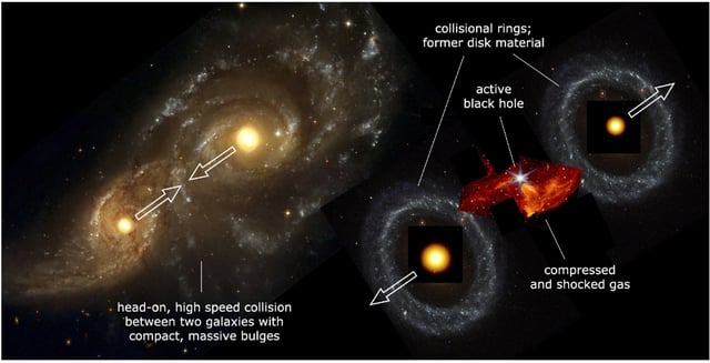 The ∞ galaxy is interpreted as the aftermath of a nearly head-on collision between two face-on disk galaxies with massive, compact bulges. The bulges survived the collision, and the inner disk stars were swept up in outwardly expanding collisional rings around the bulges. The nearby galaxy II Hz 4 is the prototype for this kind of binary ring formation (R. Lynds & A. Toomre 1976). Compression and shocks in the colliding gas likely produced a dense gaseous remnant in between the nuclei, as has been observed in the bullet cluster on much larger scales. It is proposed that the black hole formed within this gas. (Credit: van Dokkum et al / The Astrophysical Journal Letters)