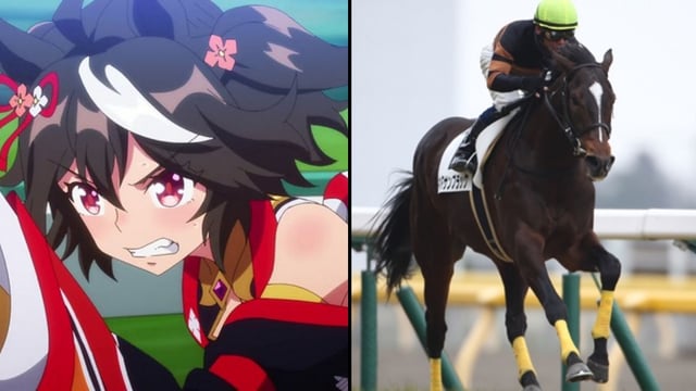Kitasan black anime girl next to irl horse