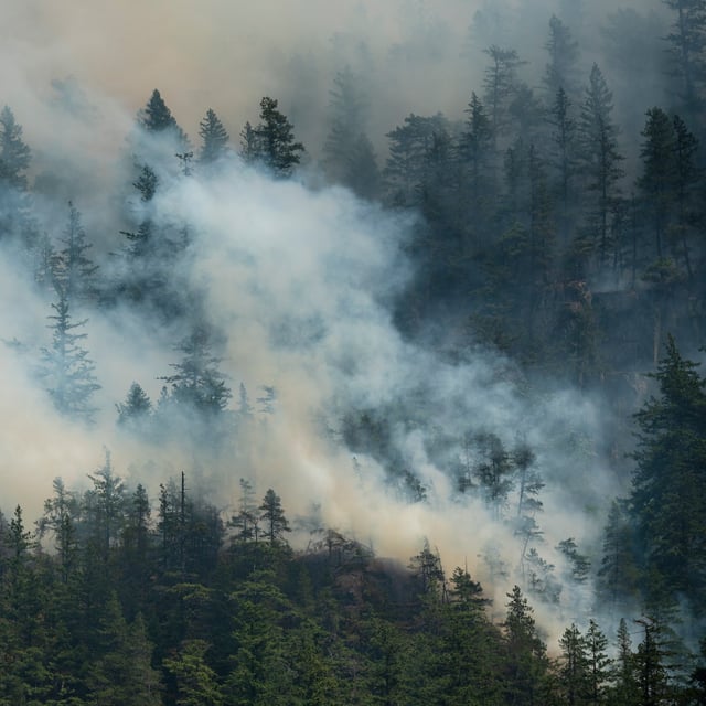 Smoke from the Dryden Creek Wildfire, just north of Squamish, B.C., is seen on Tuesday, June 10, 2025. THE CANADIAN PRESS/Tijana Martin