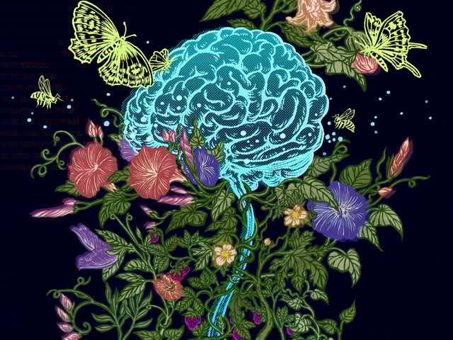El deterioro cognitivo puede ser detectado de manera temprana.