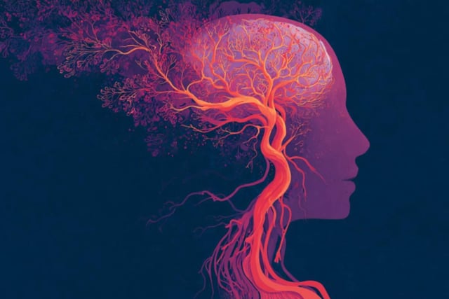 This blood-allocation process deteriorates in neurodegeneration, Kaplan noted, and understanding its inner workings could lead to new insights. Credit: Neuroscience News