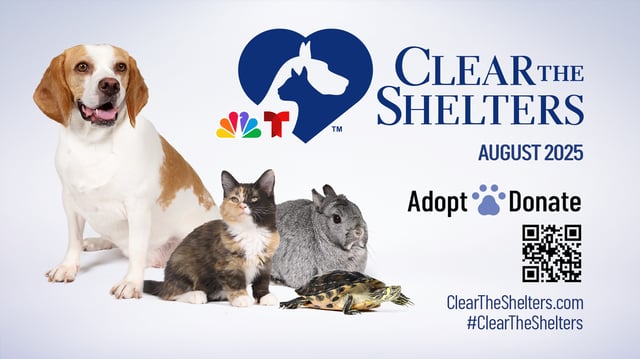 Here’s how to donate to Clear The Shelters, the animal adoption campaign from NBCUniversal Local.