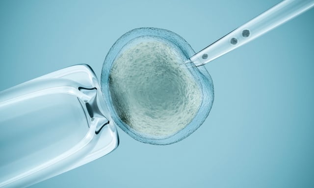 Das Verfahren ist eine spezielle Form der künstlichen Befruchtung. © mevans/iStock