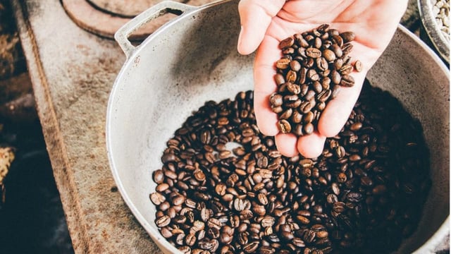 Coffee Day shares zoom 25% in just 3 days; here&#039;s the buzz