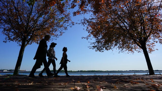 A Tik Tok trend has some trying high-intensity interval walking, or 'Japanese walking' to stay fit. 