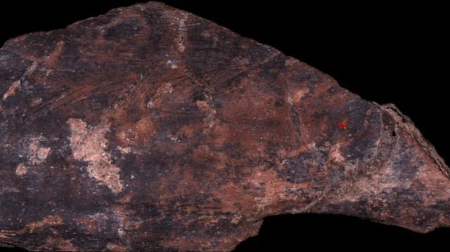 Cut-marks on a bone found at Amud. Image by the authors, supplied by Anaëlle Jallon.
