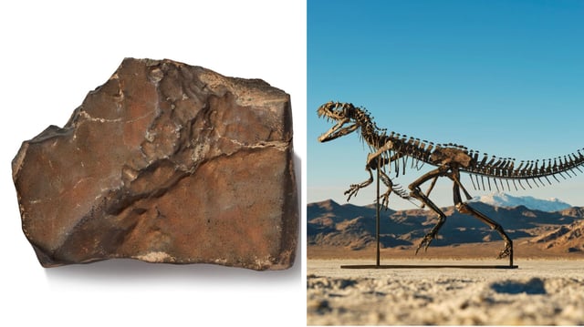 At Sotheby’s Geek Week 2025, a 150-million-year-old Ceratosaurus stole the show among 122 rare items.