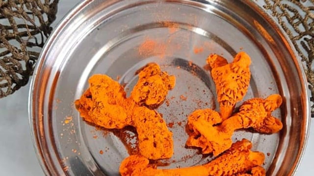 The seized dried genitalia of monitor lizards (locally known as hatha jodi) and soft coral (indrajal). (HT PHOTO)