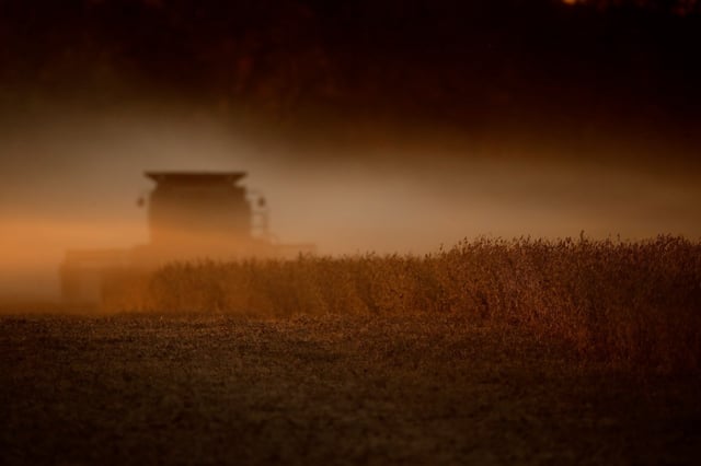 Companies associated with the Chinese Communist Party have been scooping up farmland throughout the United States. The vast majority, 93%, have been in five of them — Florida, North Carolina, Missouri, Texas and Utah, according to the U.S. Department of Agriculture. (CHARLIE RIEDEL/AP FILE)