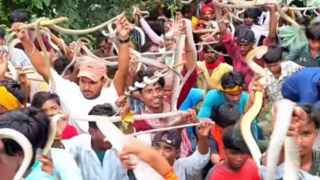 Residents from across the Mithila regions, including districts like Begusarai, Muzaffarpur, Khagaria and Saharsa take part in the fair.