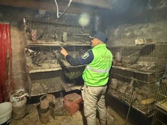 Criadero en La Plata